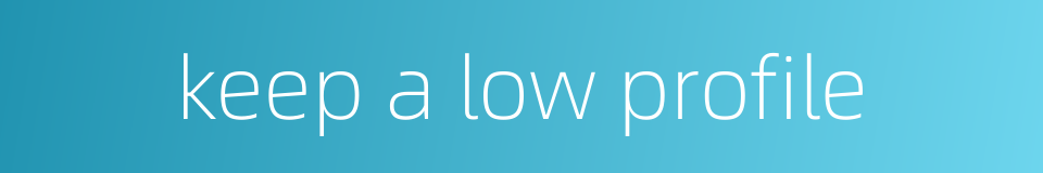 keep a low profile的同义词