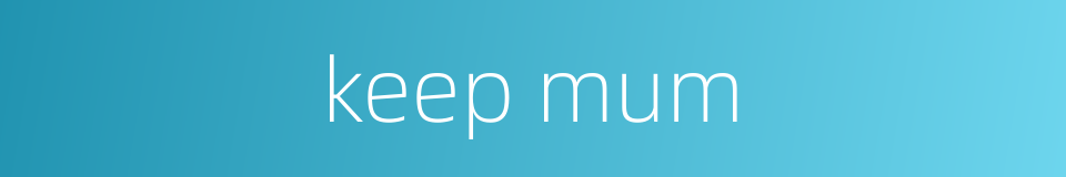 keep mum的同义词