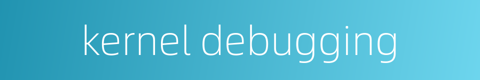 kernel debugging的同义词