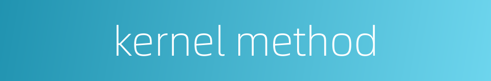 kernel method的同义词