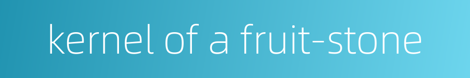 kernel of a fruit-stone的同义词