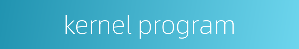 kernel program的同义词