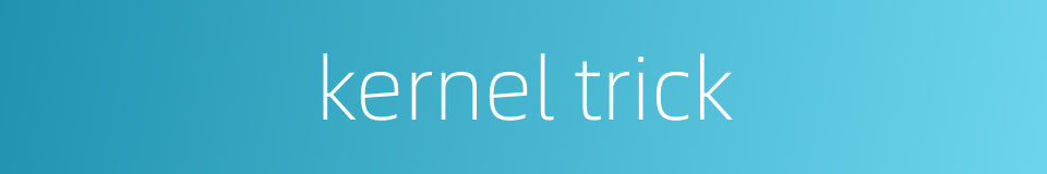 kernel trick的同义词