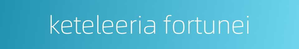 keteleeria fortunei的同义词
