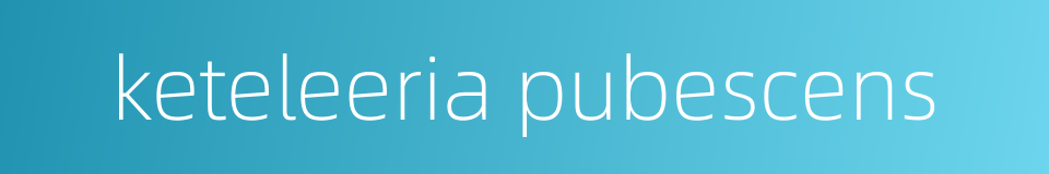 keteleeria pubescens的同义词