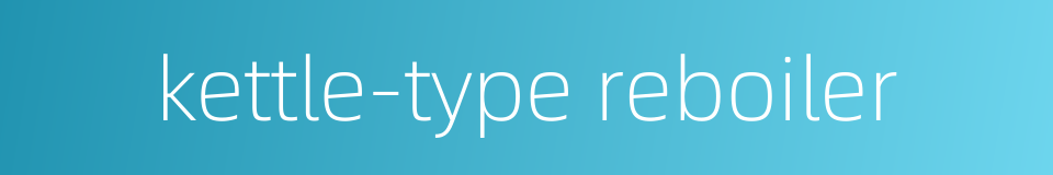 kettle-type reboiler的同义词