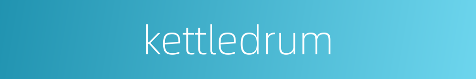kettledrum的同义词