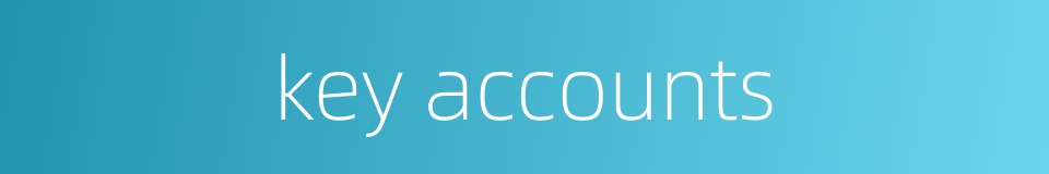 key accounts的同义词