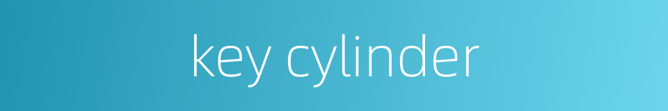 key cylinder的同义词