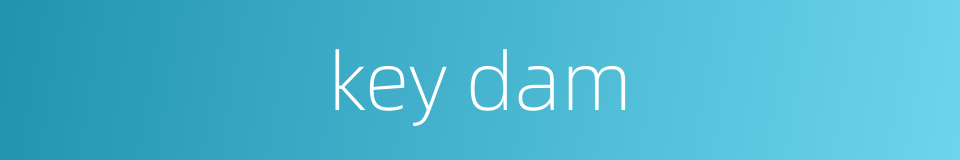 key dam的同义词