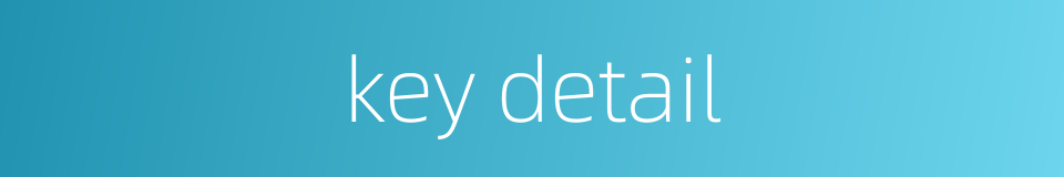 key detail的同义词