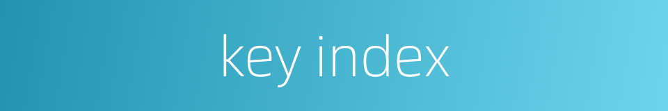 key index的同义词