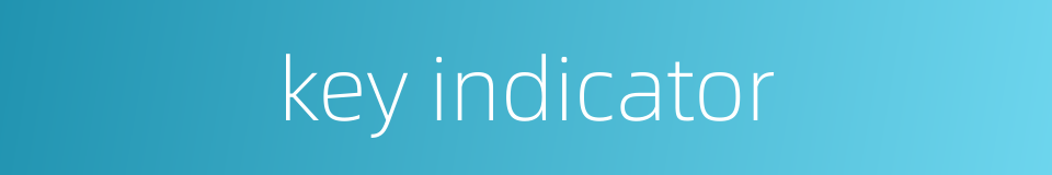 key indicator的同义词