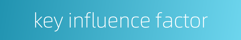key influence factor的同义词