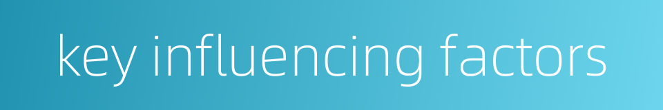 key influencing factors的同义词
