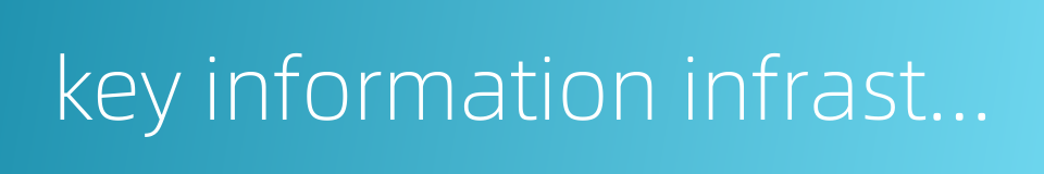 key information infrastructure的同义词