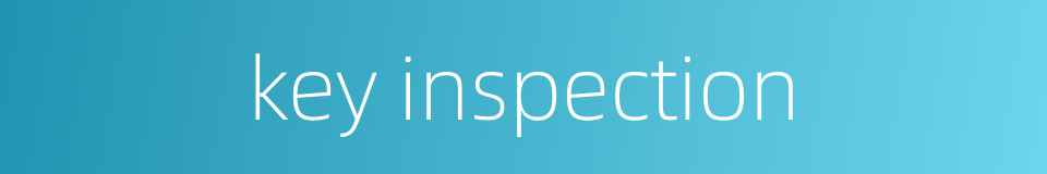 key inspection的同义词