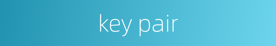 key pair的同义词