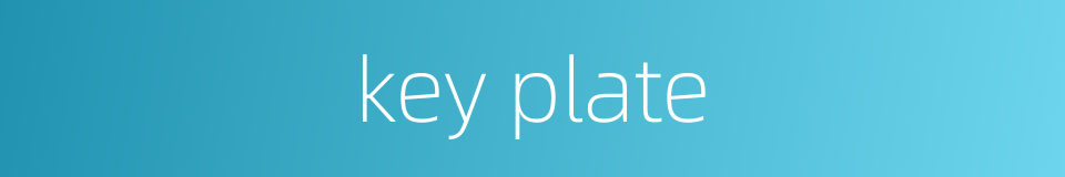 key plate的同义词