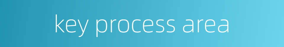 key process area的同义词