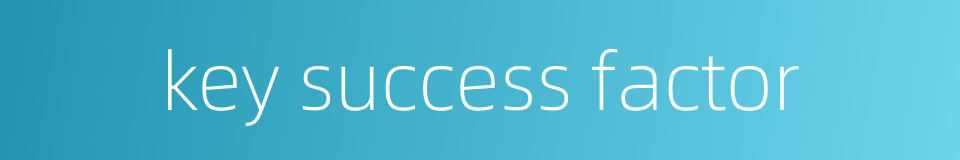 key success factor的同义词