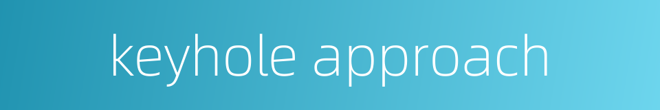 keyhole approach的同义词