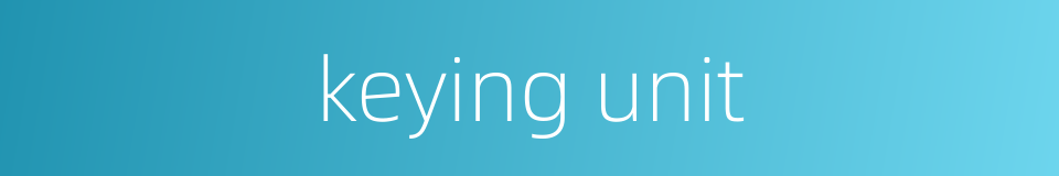 keying unit的同义词