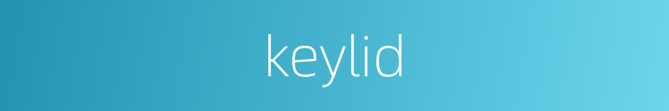 keylid的同义词