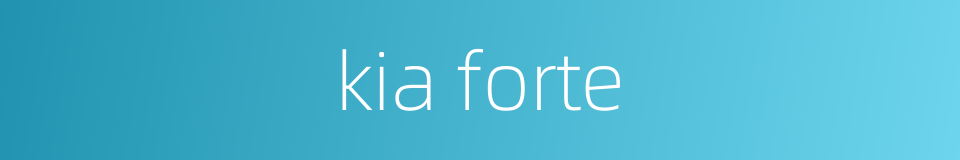kia forte的同义词