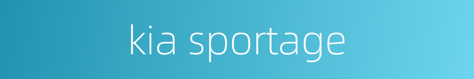 kia sportage的同义词