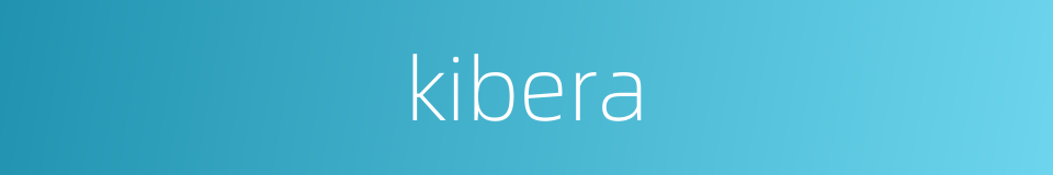 kibera的同义词