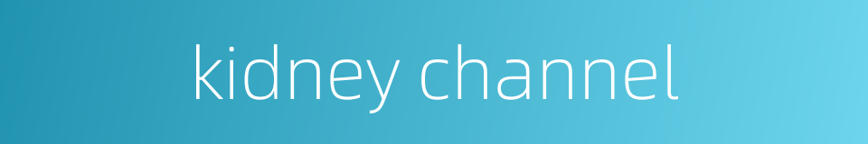 kidney channel的同义词
