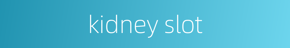 kidney slot的同义词