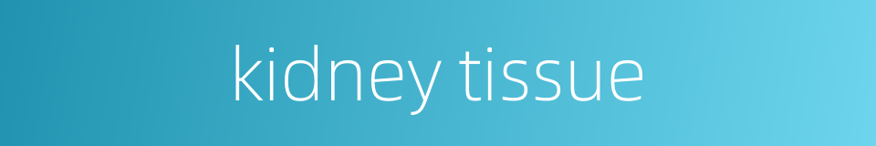 kidney tissue的同义词