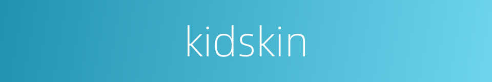 kidskin的同义词