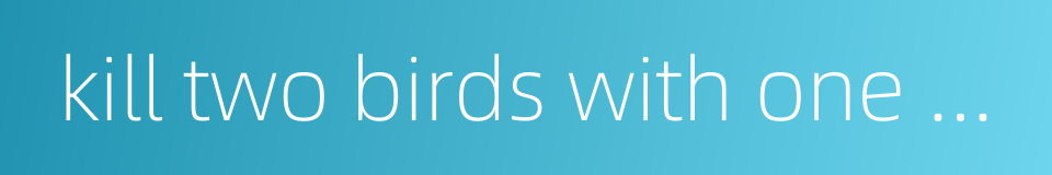 kill two birds with one stone的同义词
