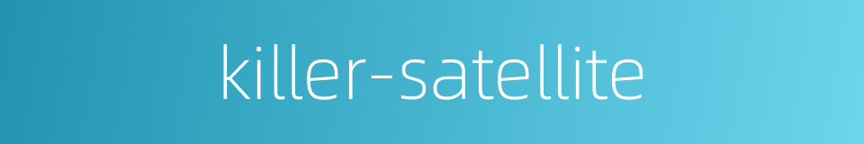 killer-satellite的同义词