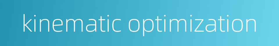 kinematic optimization的同义词