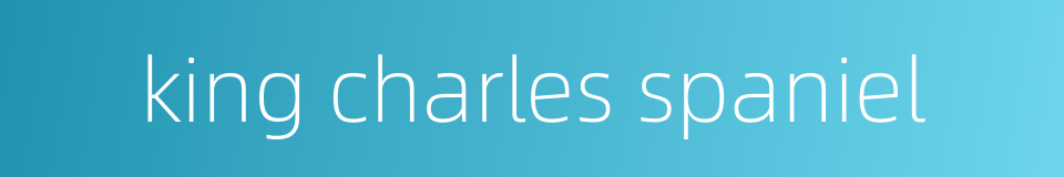 king charles spaniel的同义词