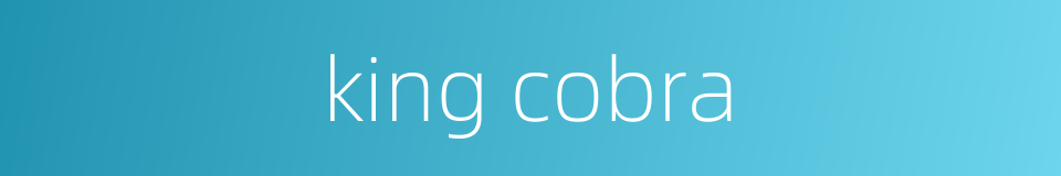 king cobra的同义词