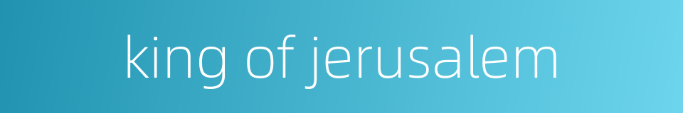 king of jerusalem的同义词