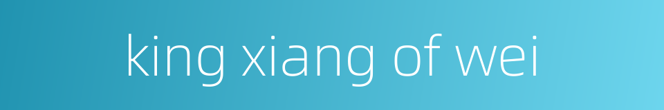 king xiang of wei的同义词
