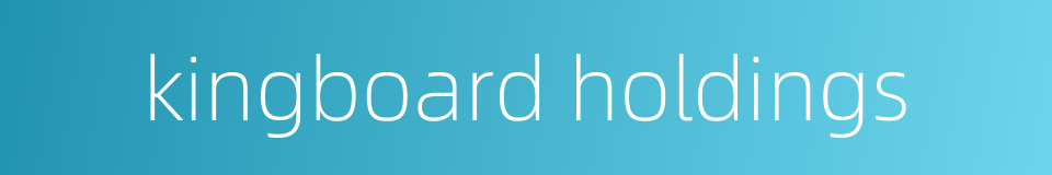 kingboard holdings的同义词