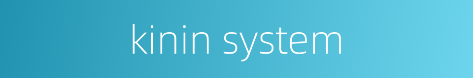 kinin system的同义词