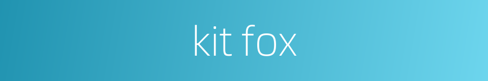 kit fox的同义词