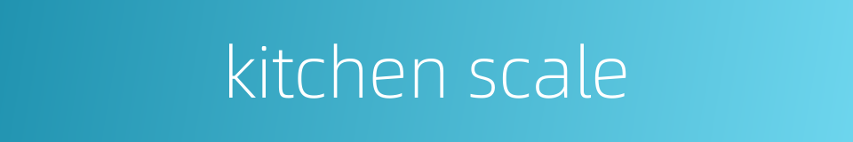 kitchen scale的同义词