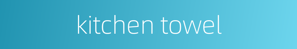 kitchen towel的同义词