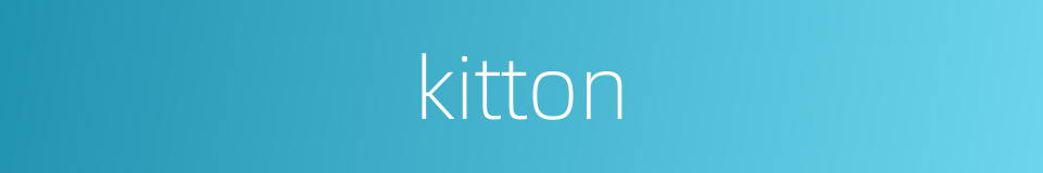 kitton的同义词