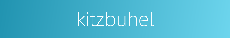 kitzbuhel的同义词