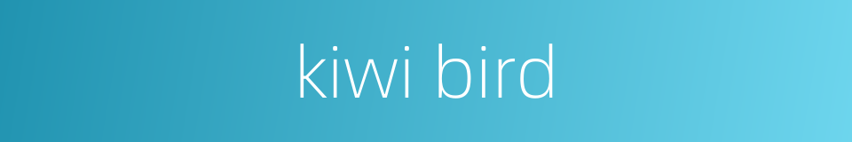 kiwi bird的同义词